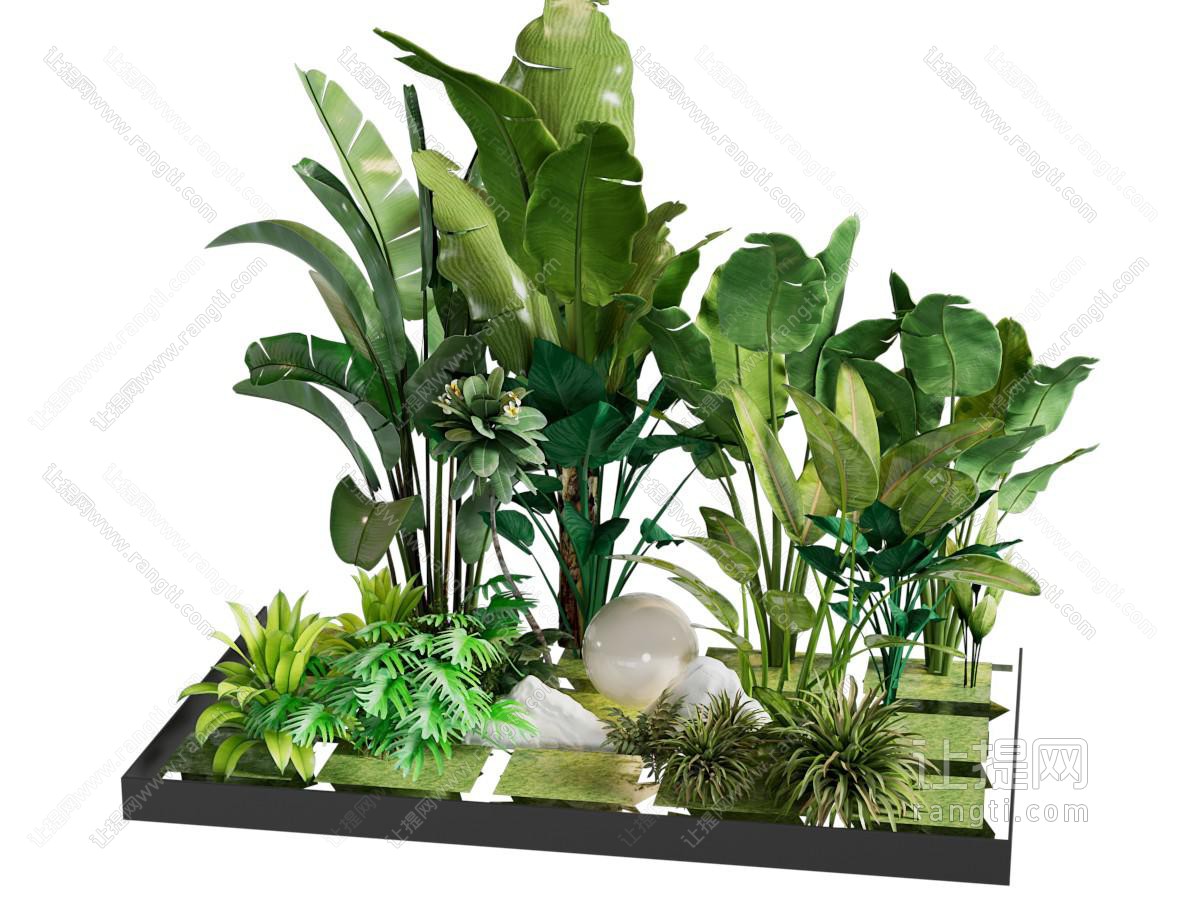 现代花池 花草植物盆景盆栽