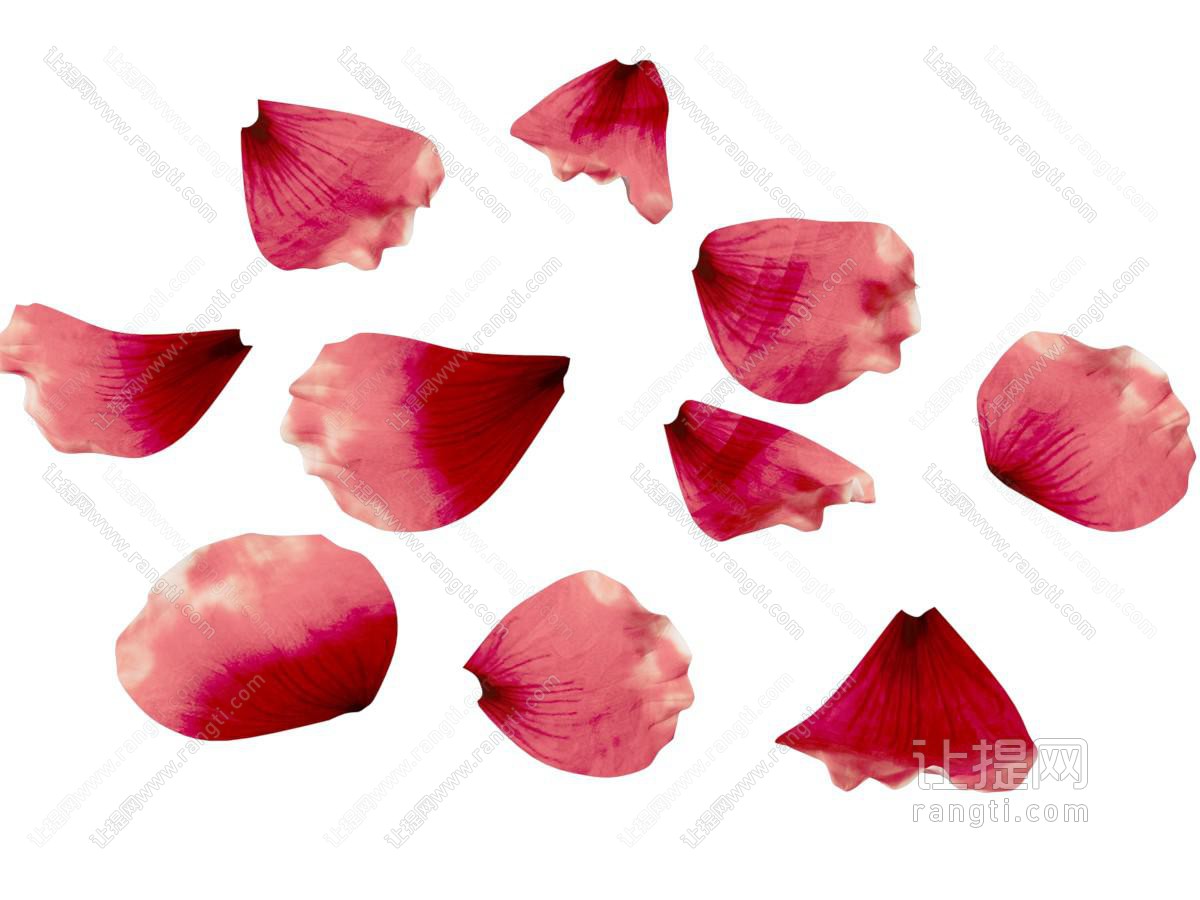 花 花瓣
