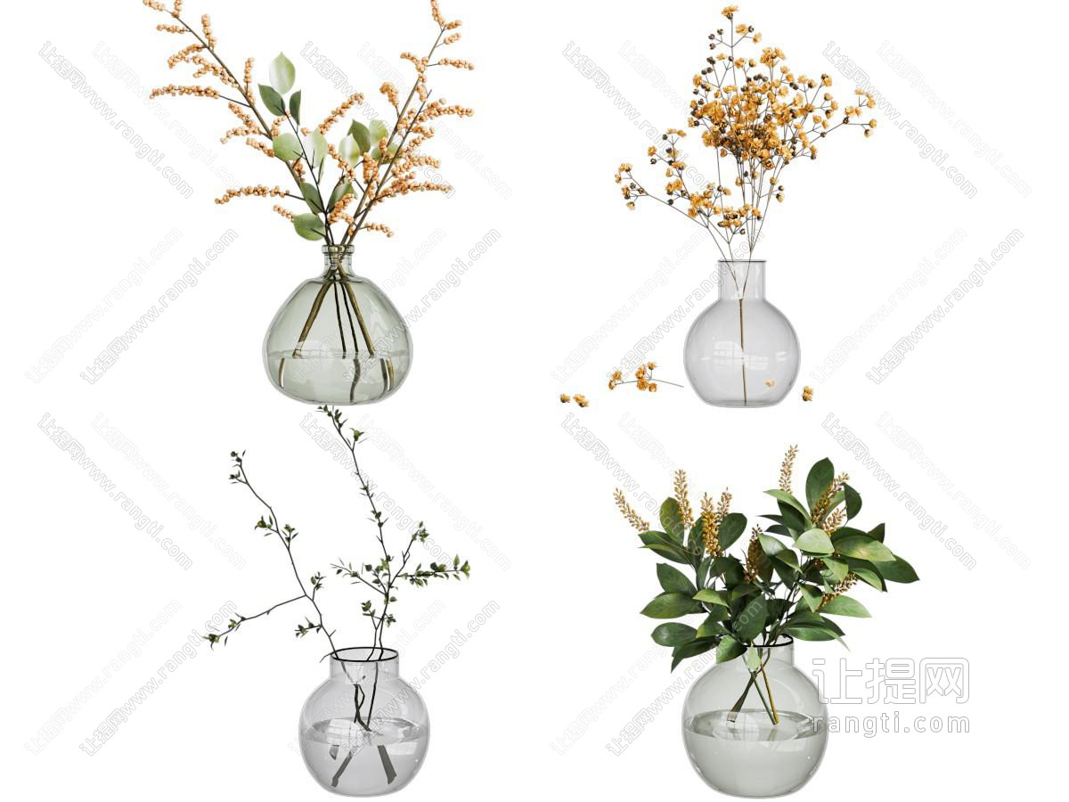 水生植物 水培绿植 花瓶花卉