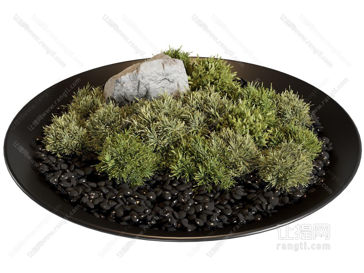 苔藓 现代苔藓盆景 桌摆 植物装饰摆件