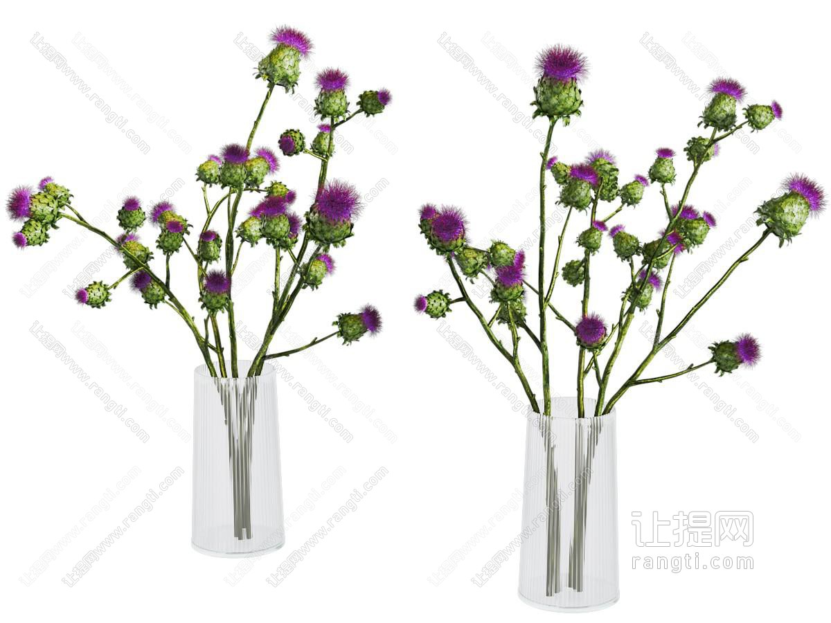 花瓶 花艺 花卉 插花 鲜花