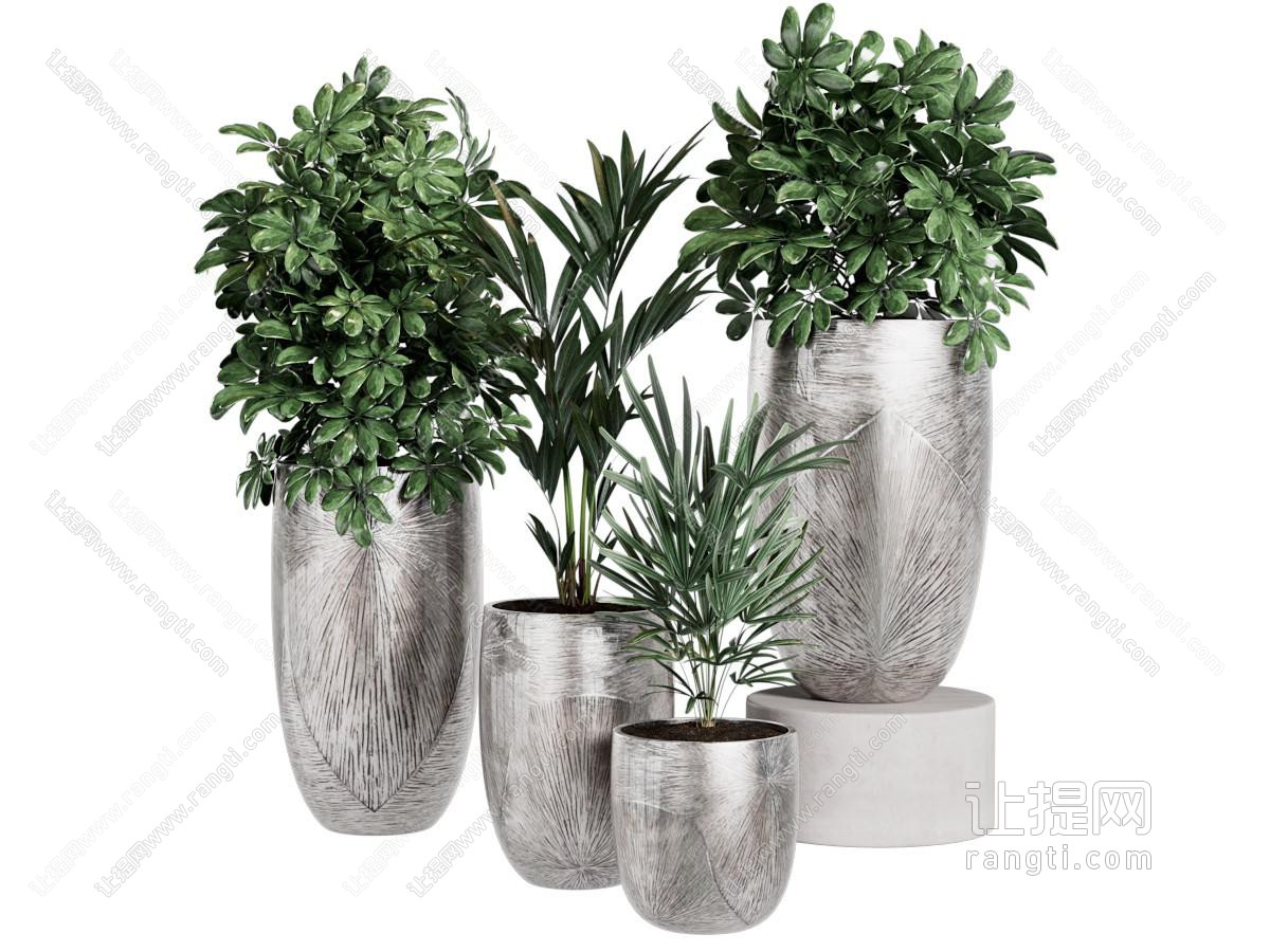 现代绿植盆栽