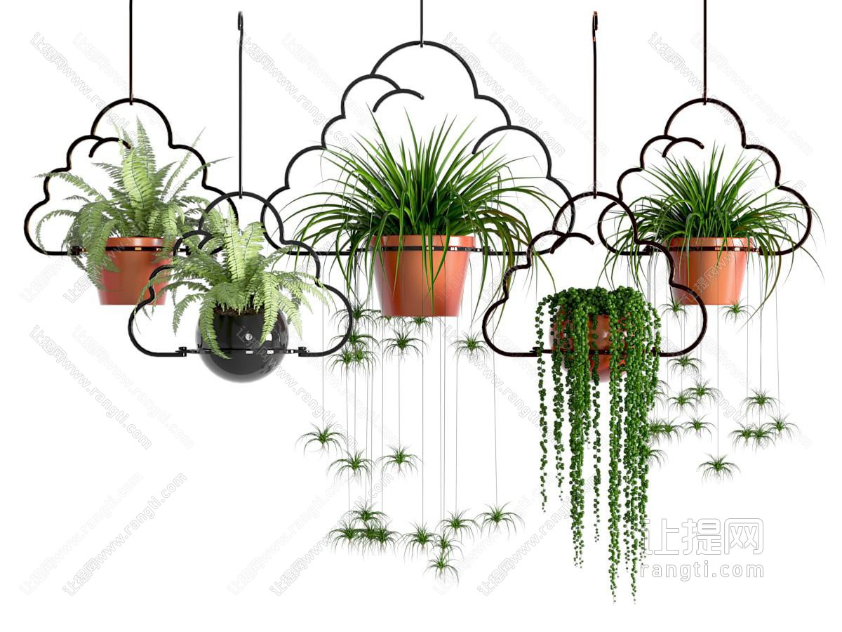 悬挂植物盆栽