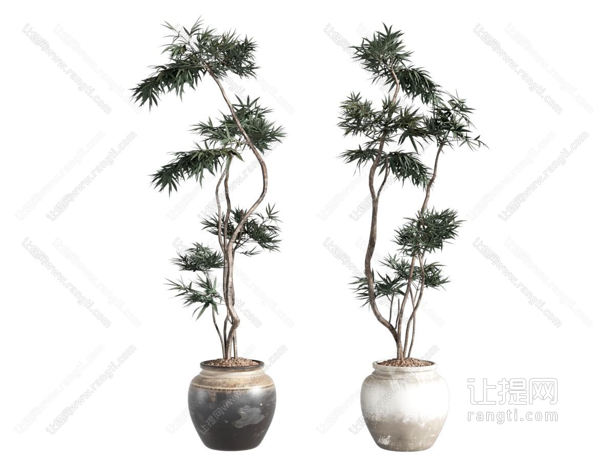 绿植盆栽