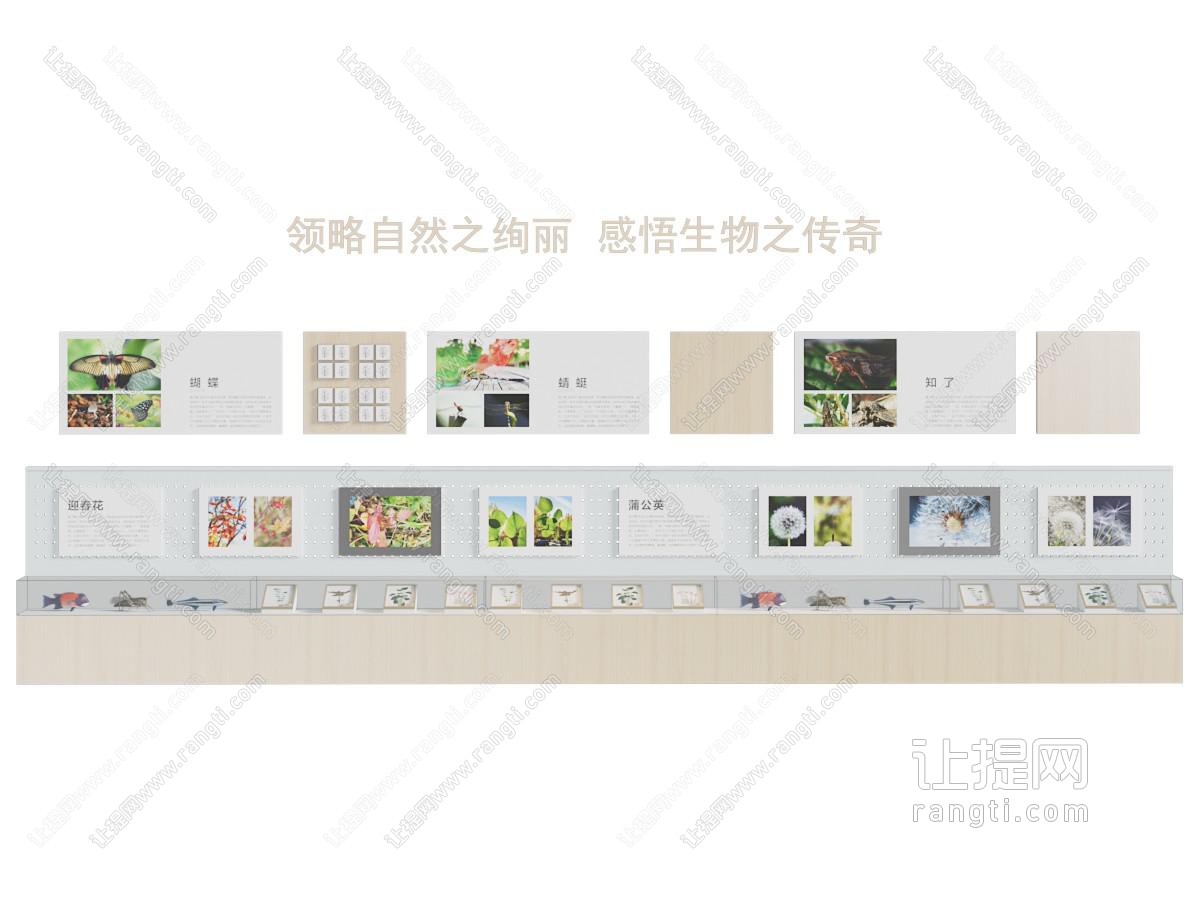 标本生物标本墙实验室墙面装饰
