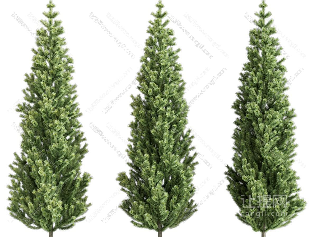 现代树 树木 人工植物 人工修剪树 写实树木 景观树 园