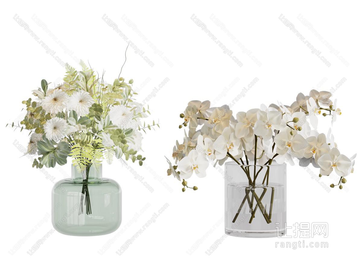 水生植物 水生植物 兰花花瓶