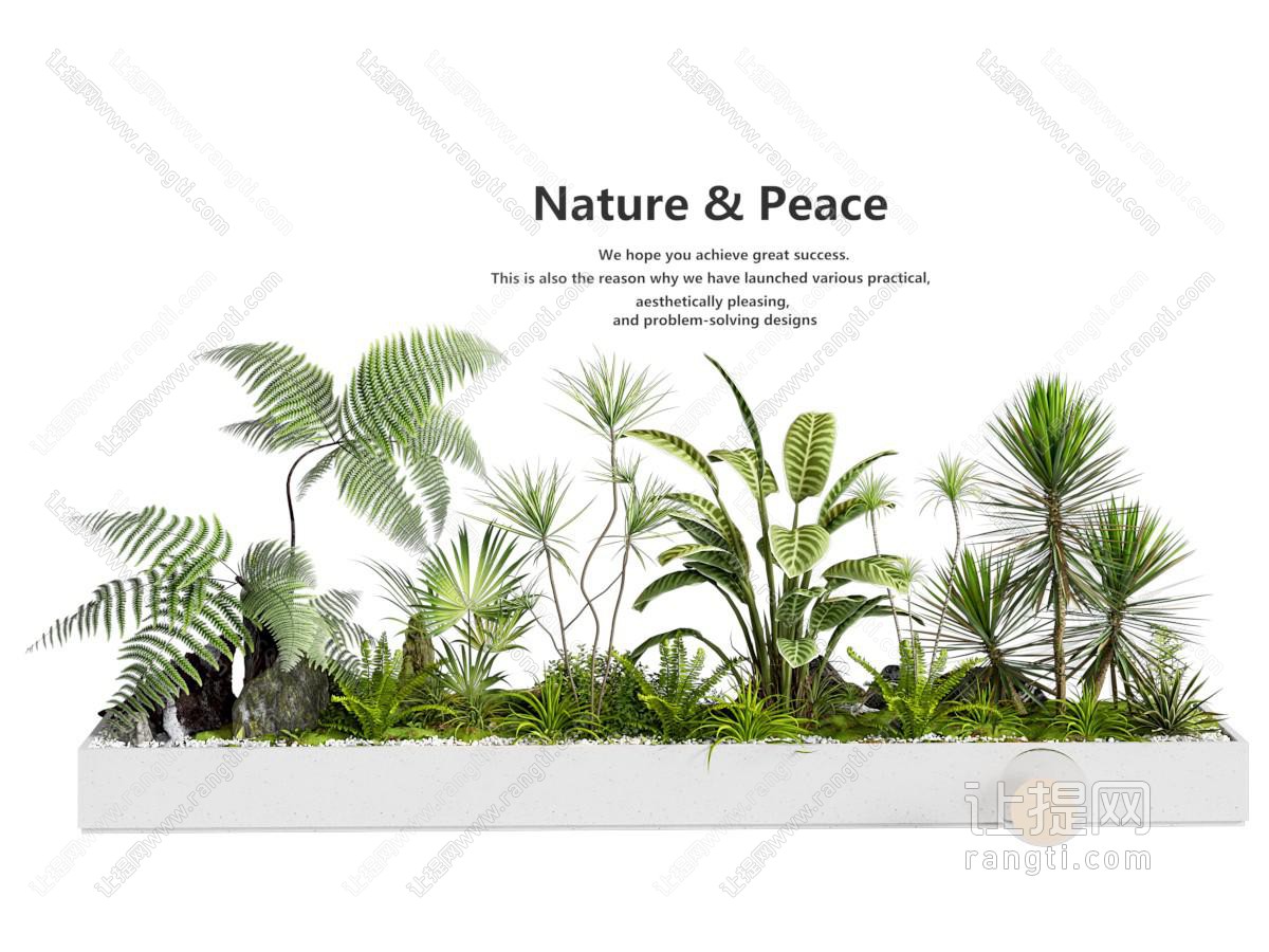现代花池 花草植物景观园艺小品
