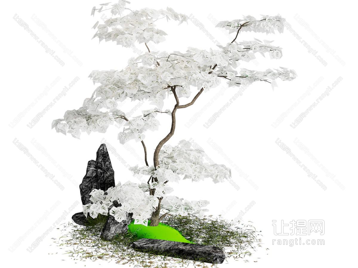 景观树