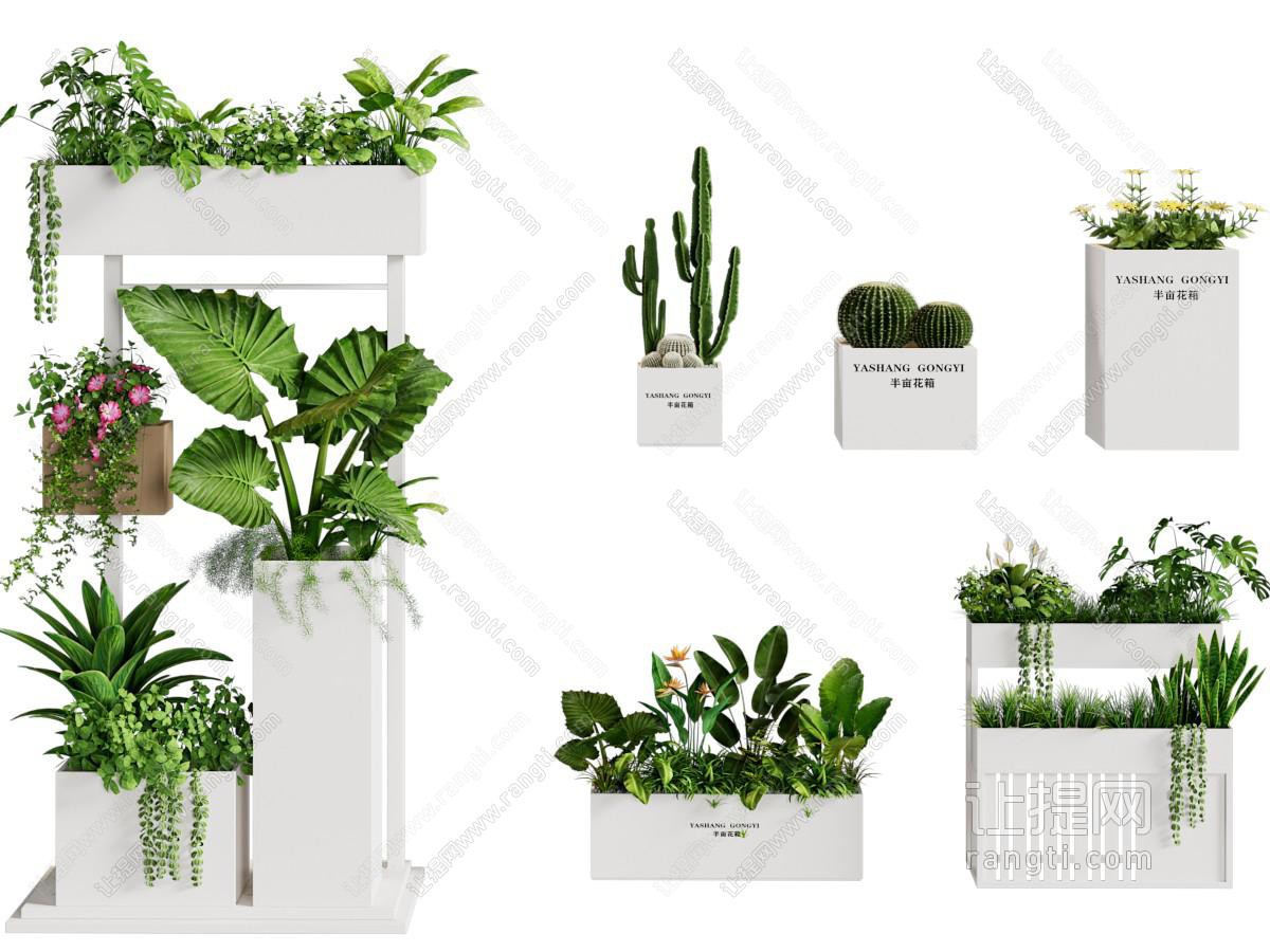 现代花架