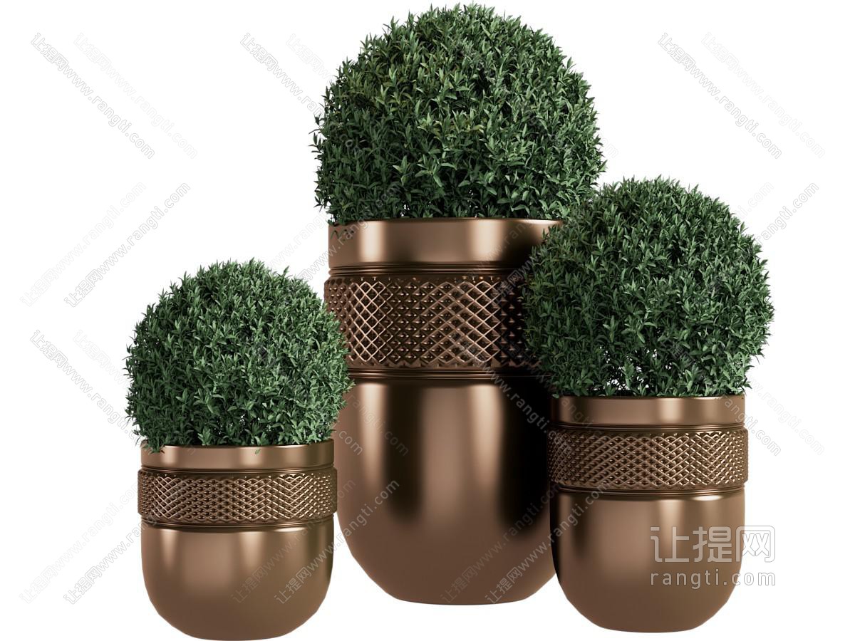 花盆盆栽植物