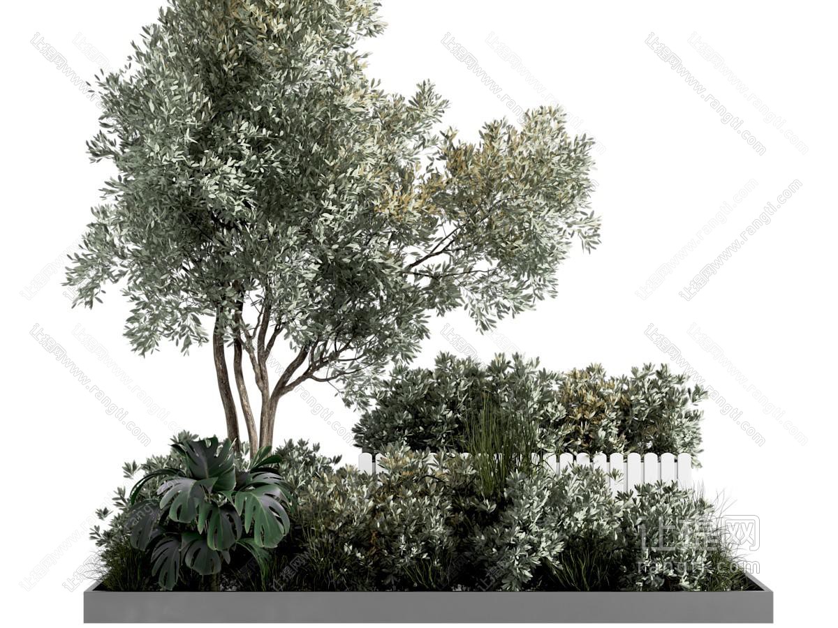 现代绿植花池