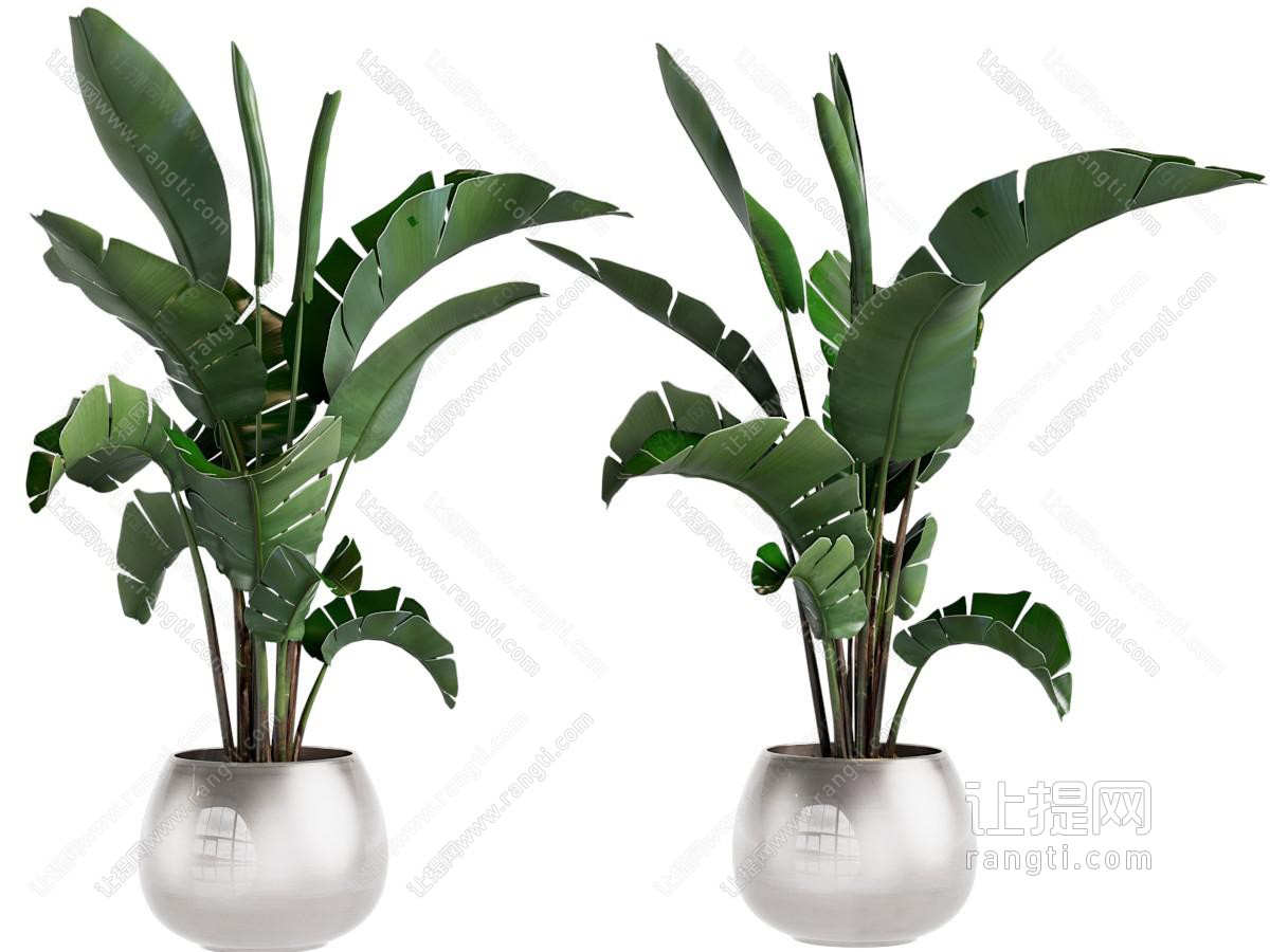 现代自然风植物盆栽