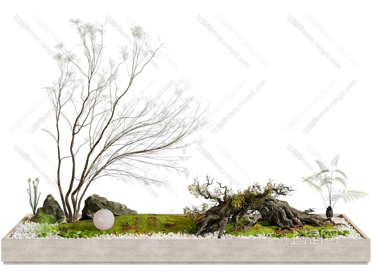 现代室内景观 室内景观造景 庭院小品 景观树 植物组合