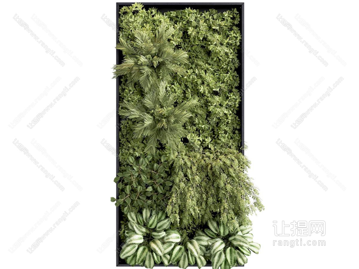 植物墙