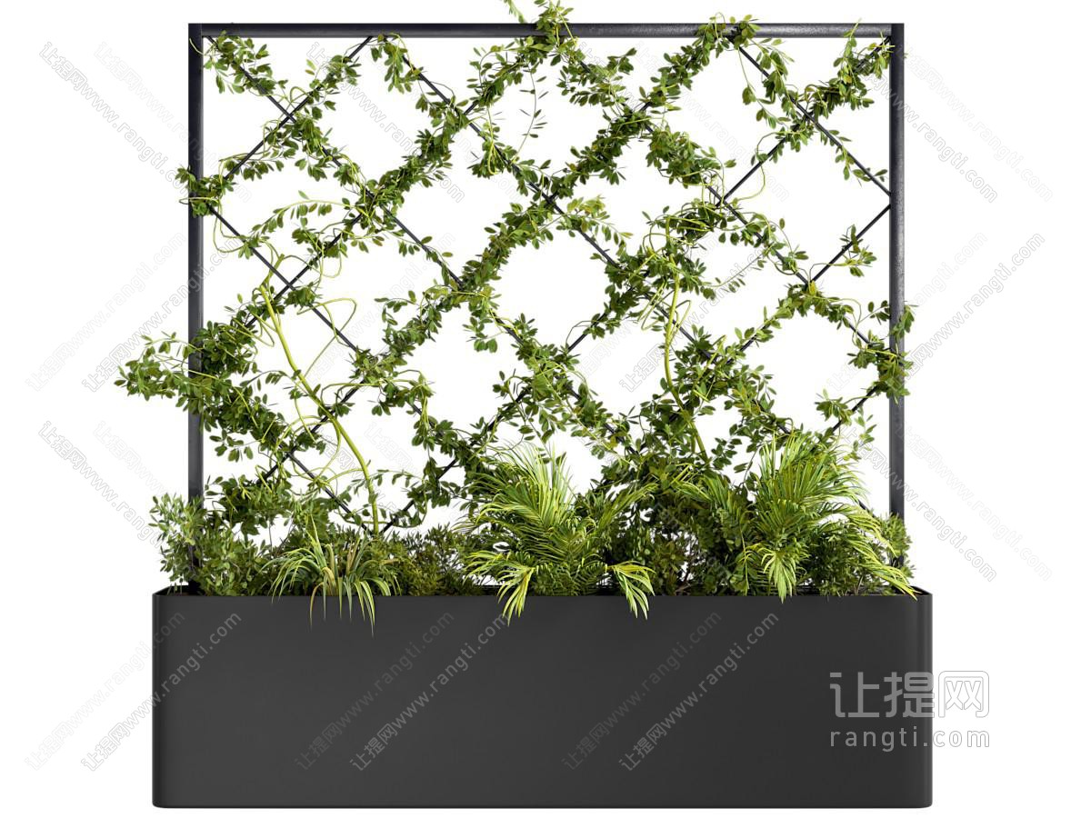 绿植墙