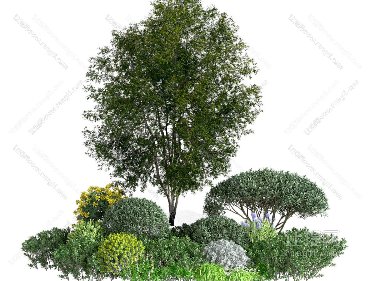 植物堆