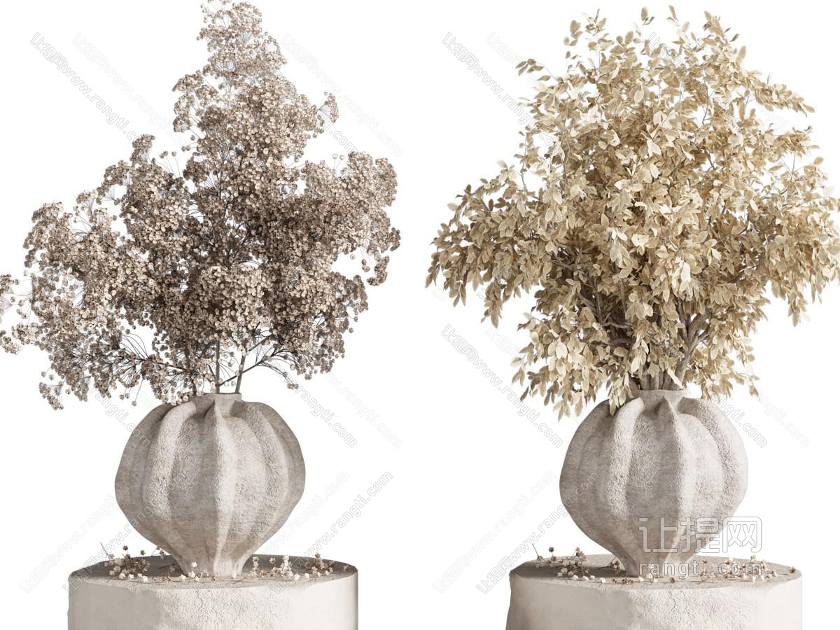 现代干花 干植物组合