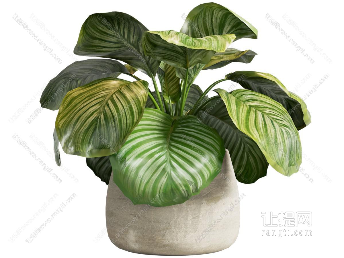 现代绿植盆栽