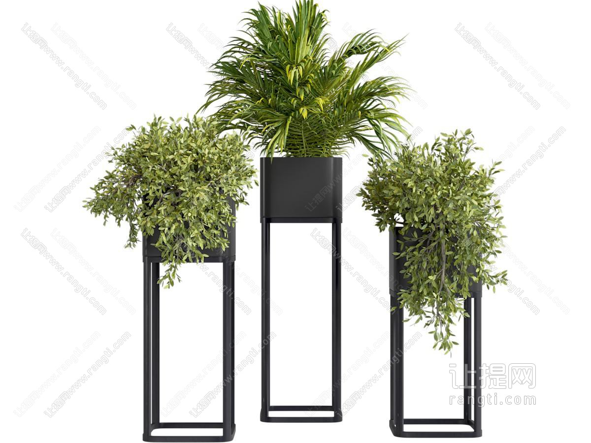 现代绿植盆栽