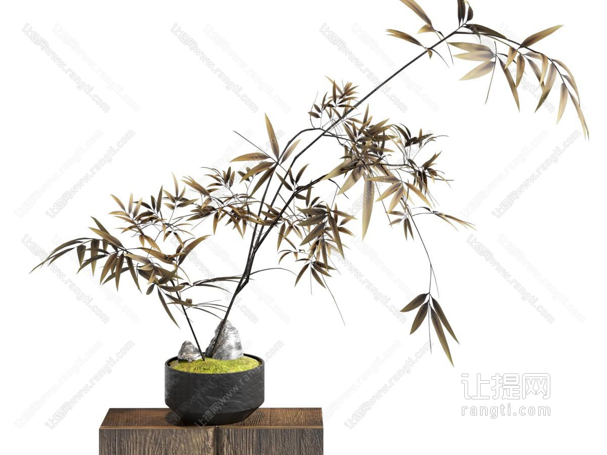 盆栽