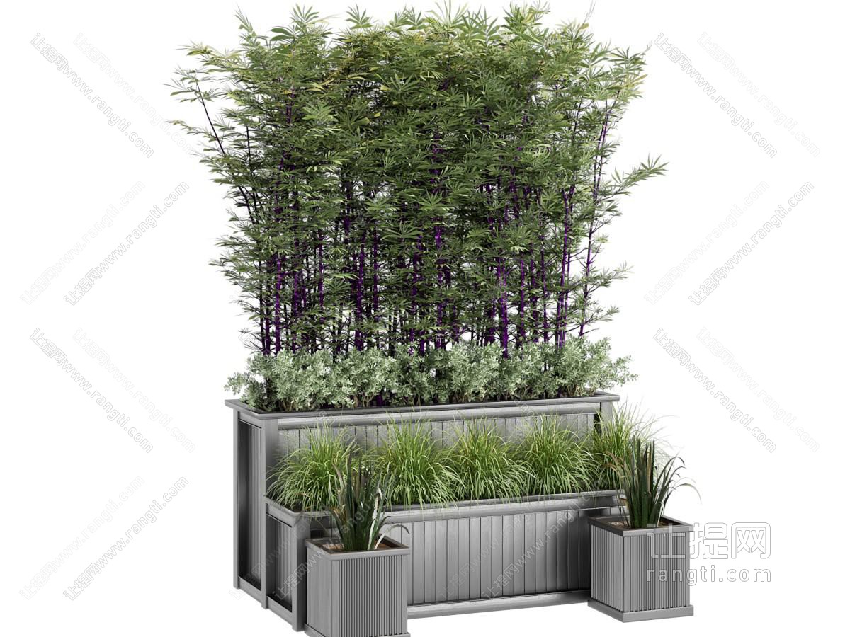 竹子盆栽 盆景
