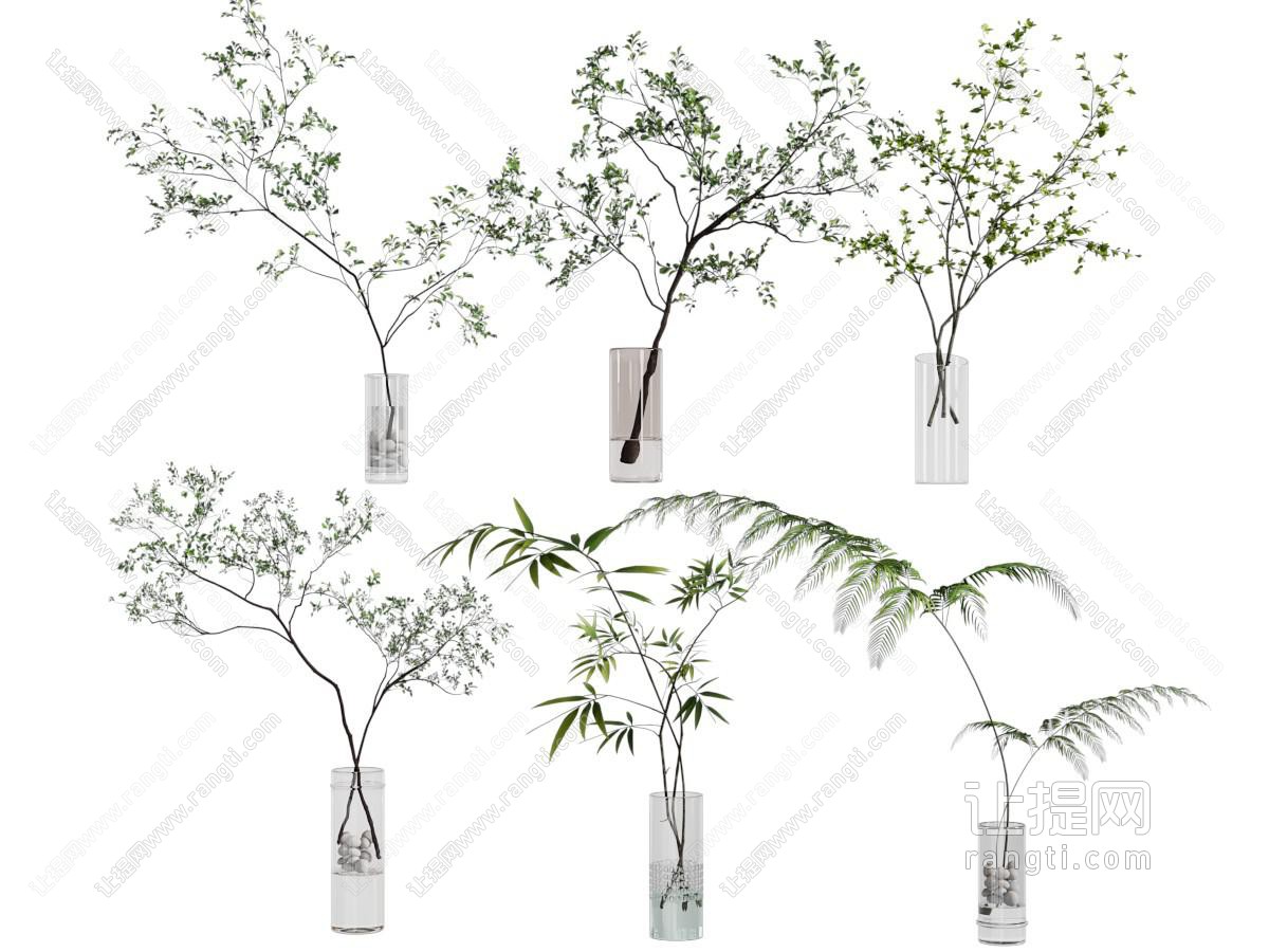 水生植物
