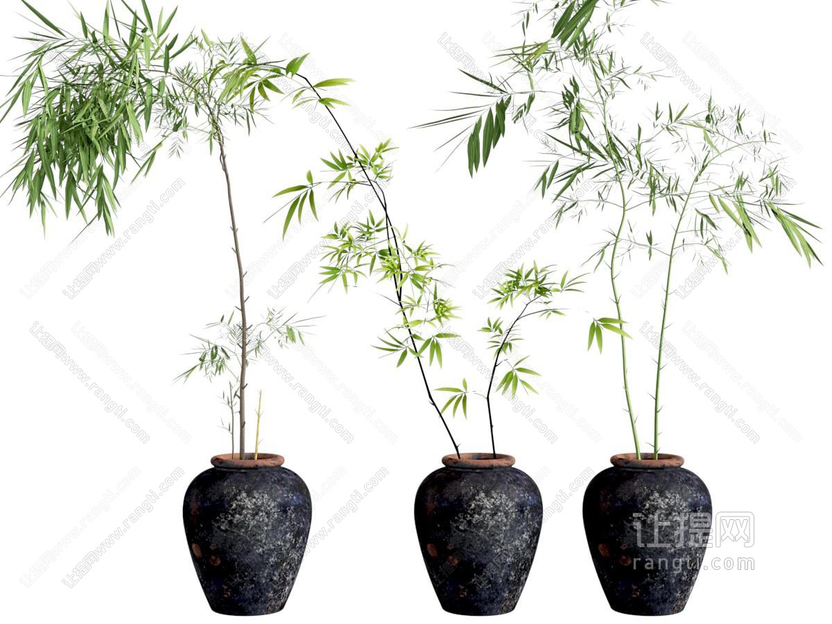 盆栽