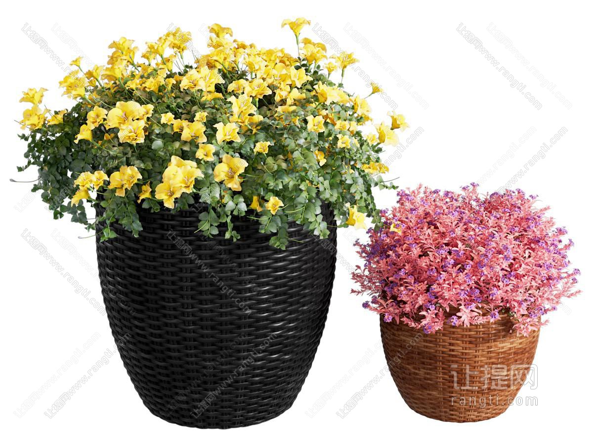 花盆 花坛 鲜花 盆栽