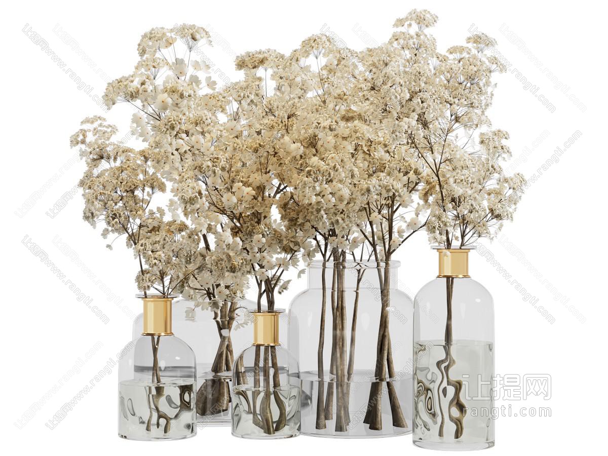 水生植物 水培花卉