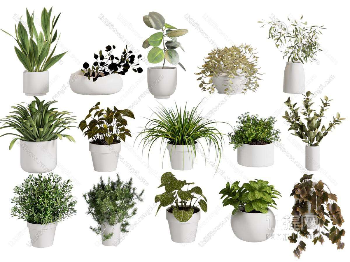 现代绿植盆栽