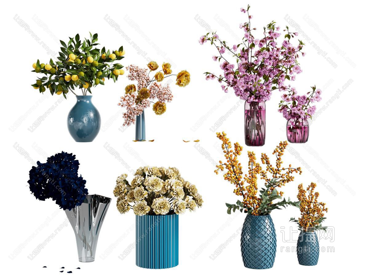植物
