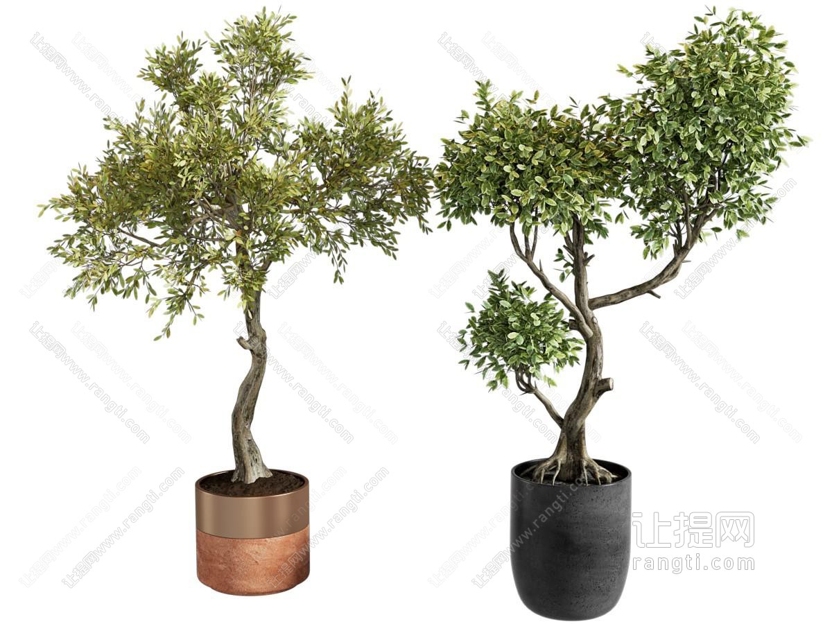 现代盆栽盆景绿植组合