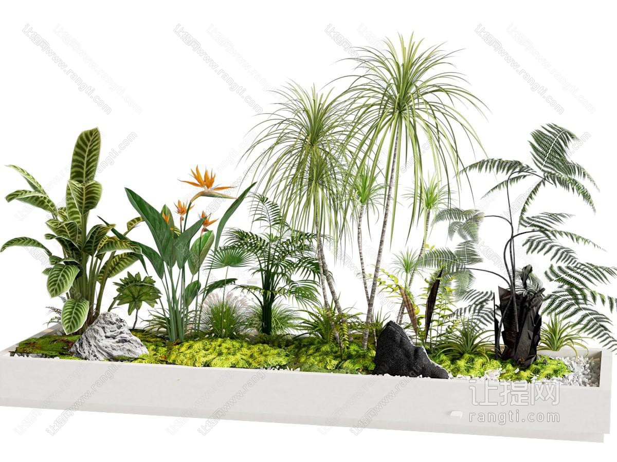 植物堆