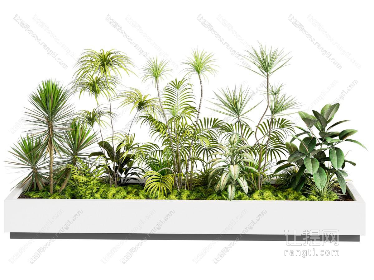 植物堆 植物景观 庭院小品 庭院景观 植物组合