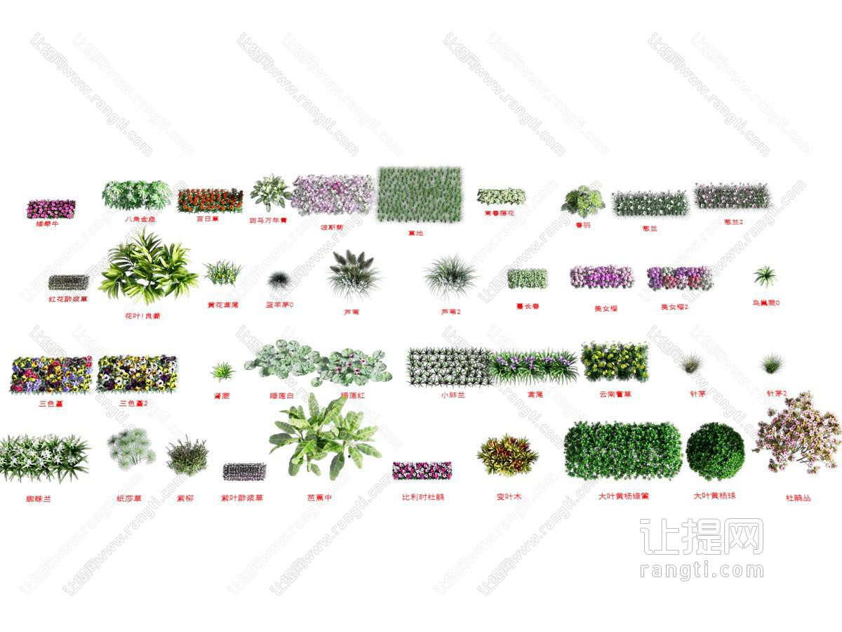 植物组合 花草组合