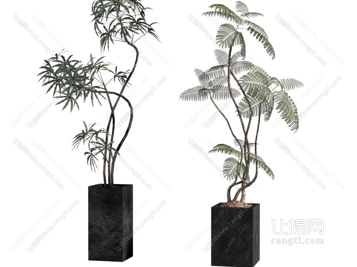 盆栽 中古风绿植 盆栽