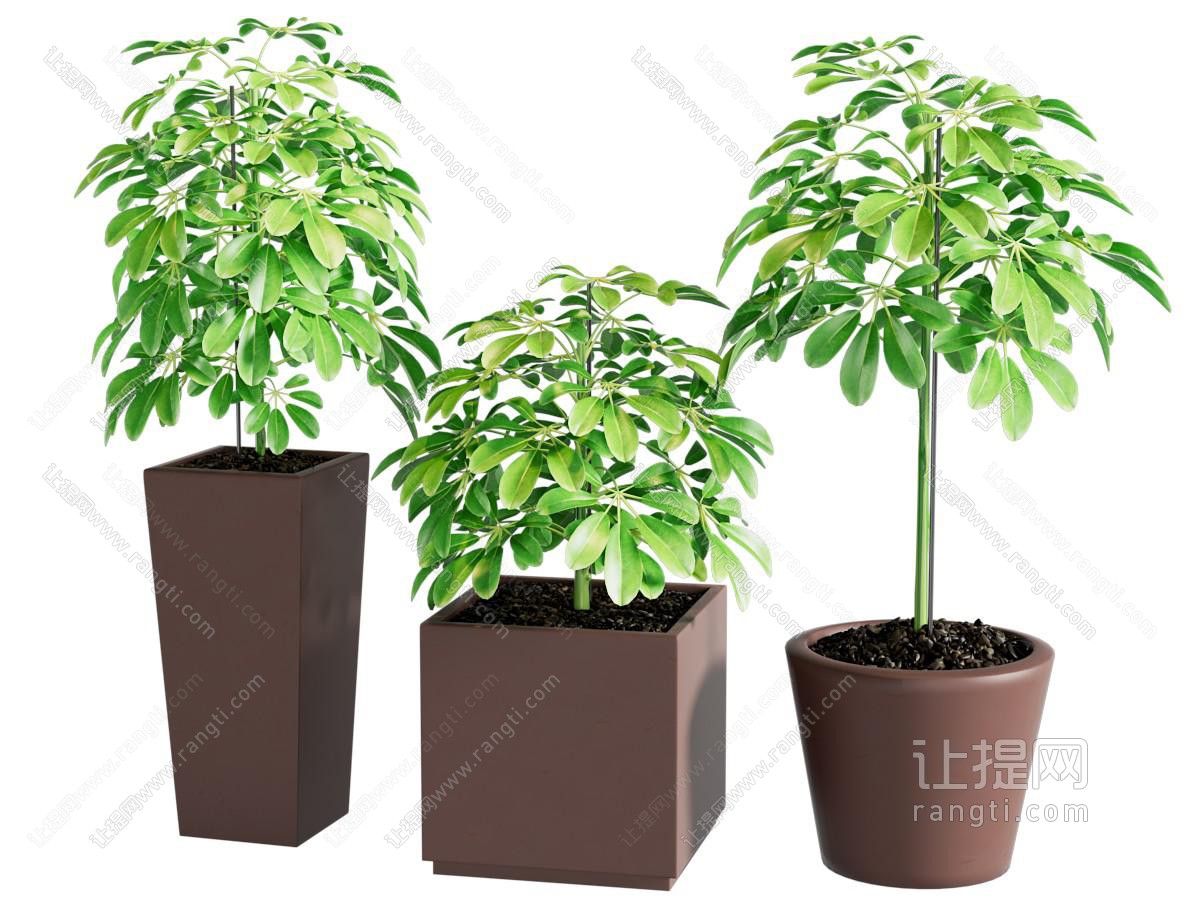 现代陶艺花盆盆景盆栽植物