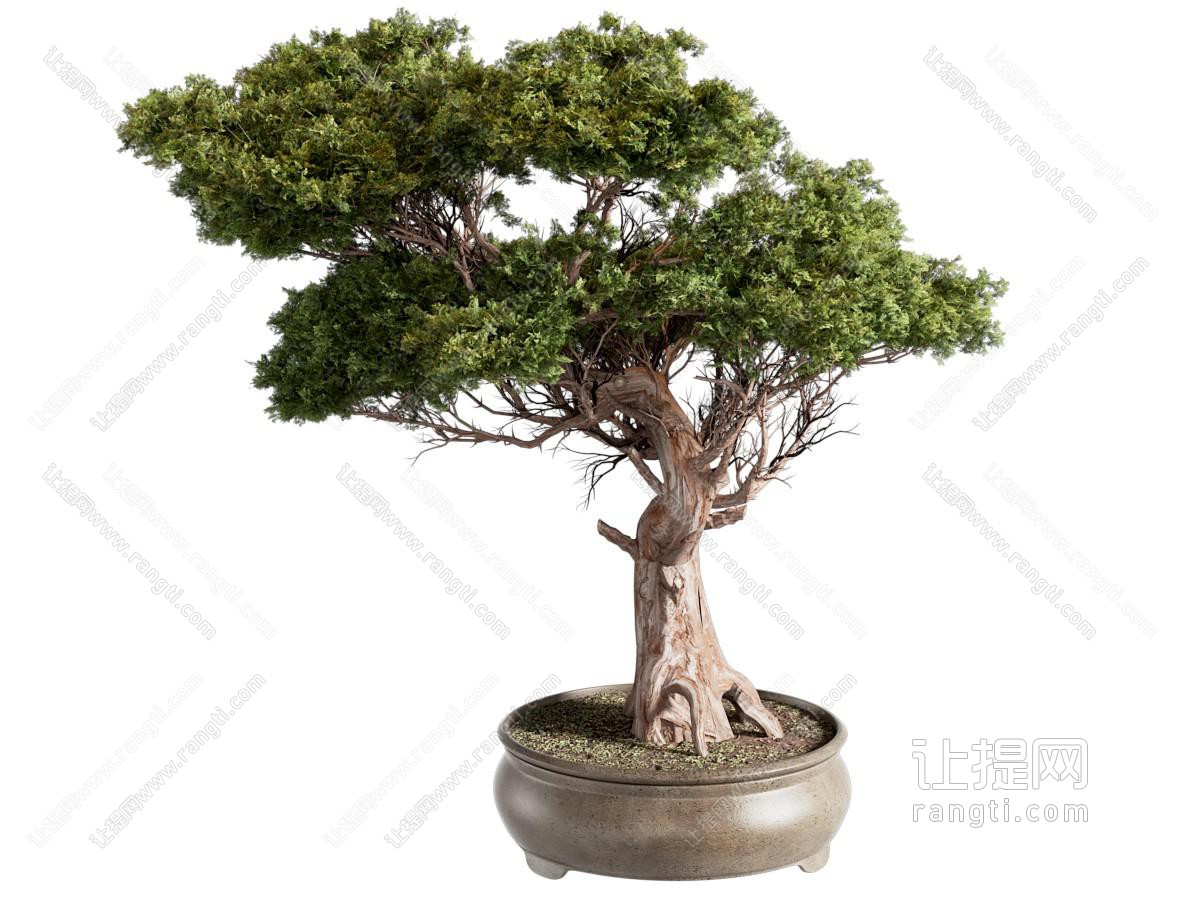 新中式植物盆栽