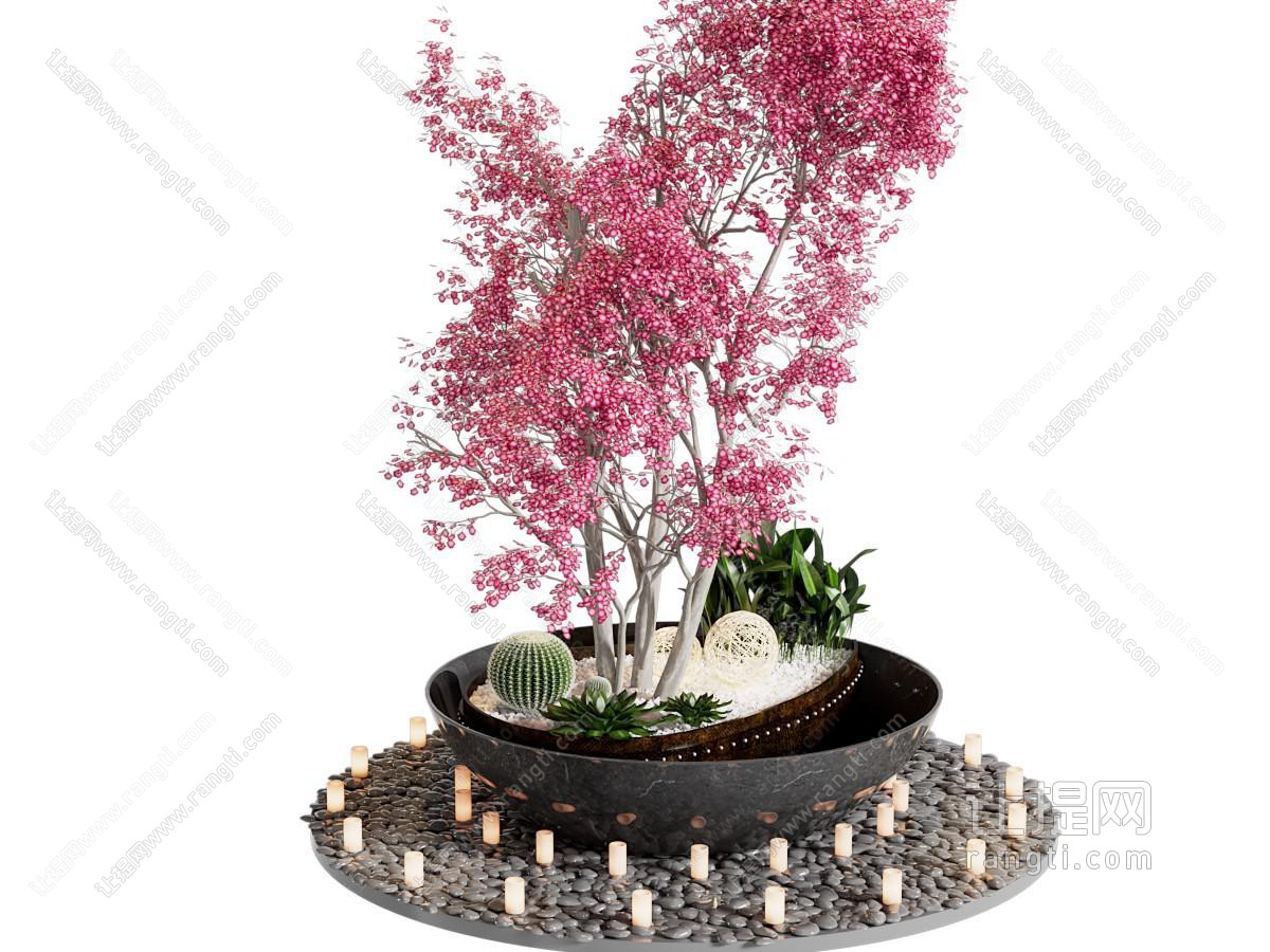 现代植物景观小品