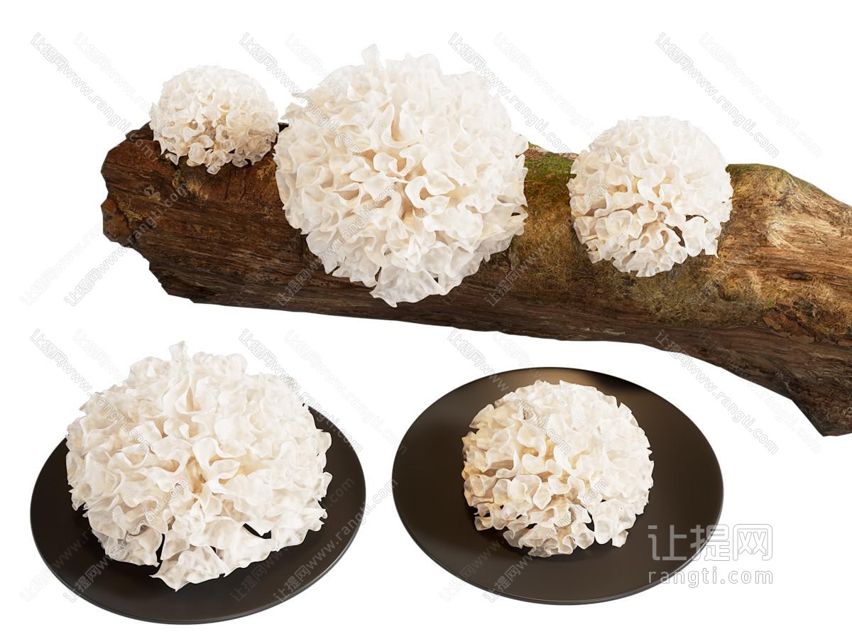 银耳黑木耳等食用菌