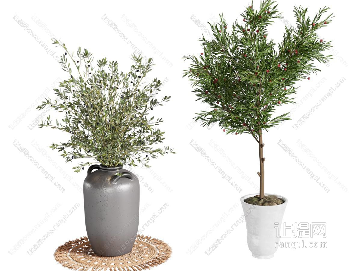 绿植盆栽 盆景