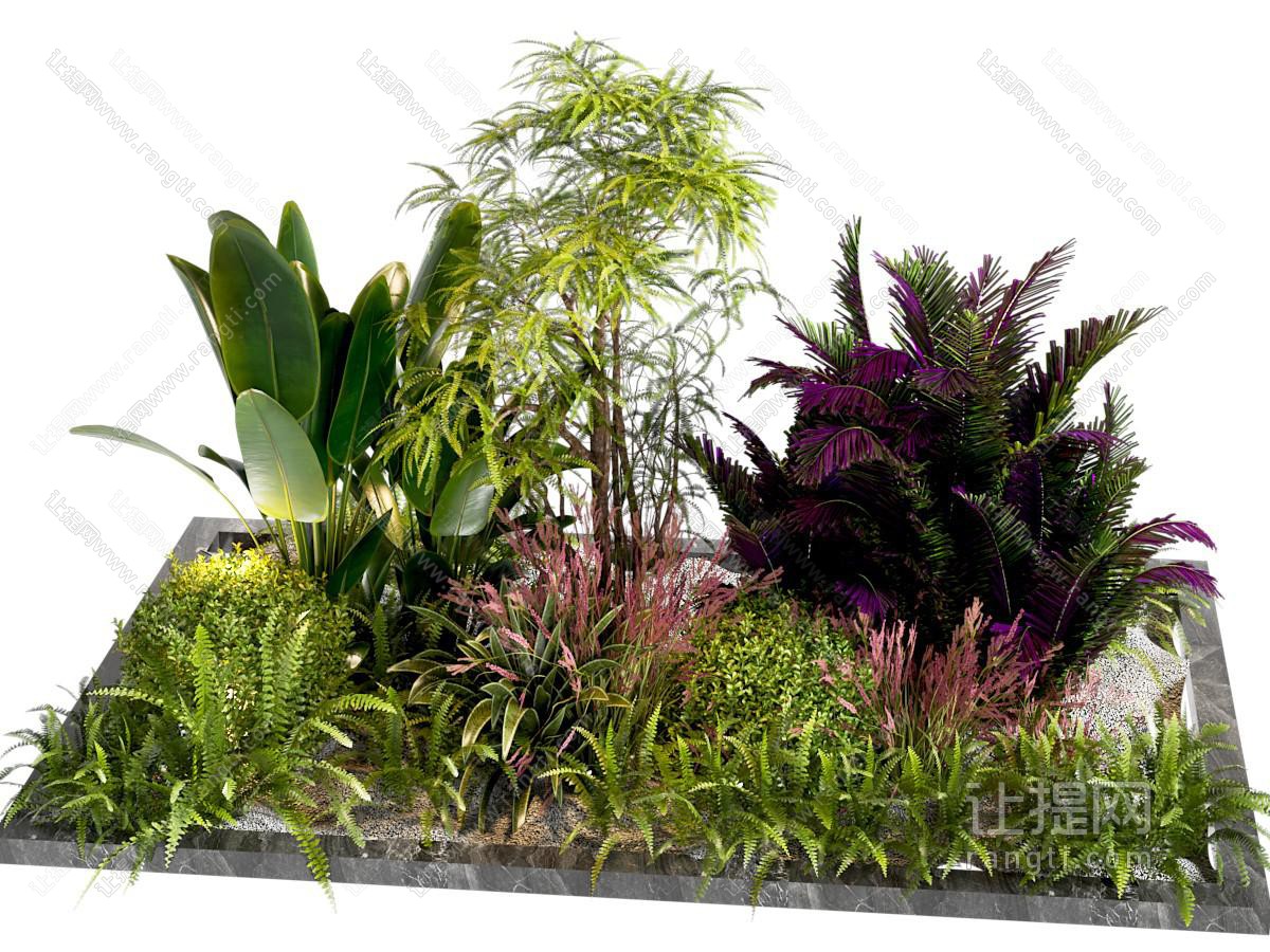 室内植物