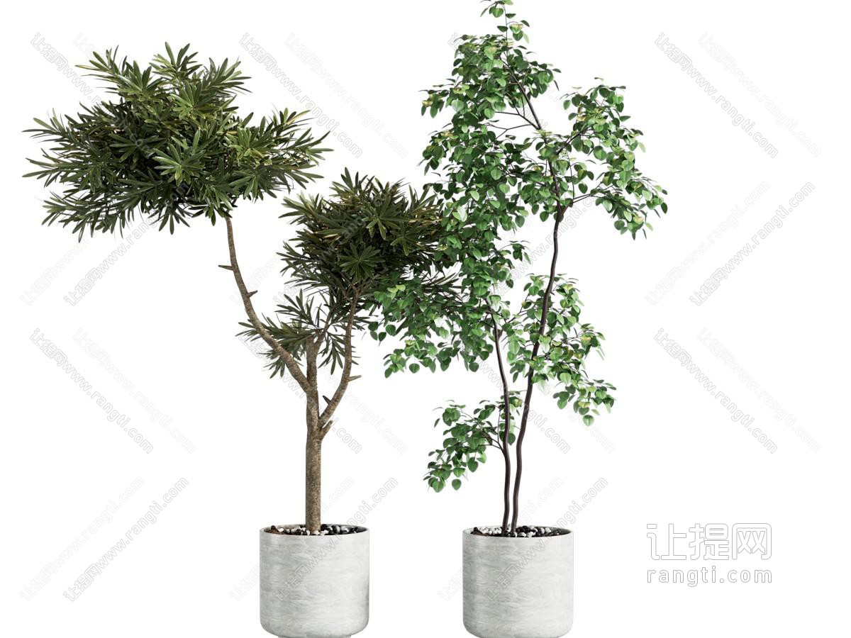 现代绿植盆栽组合