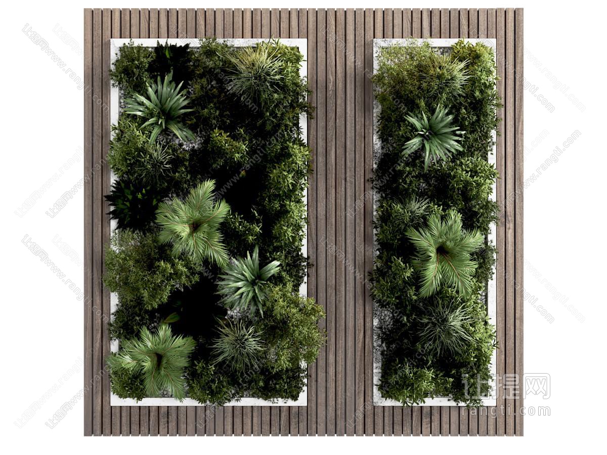 现代植物墙