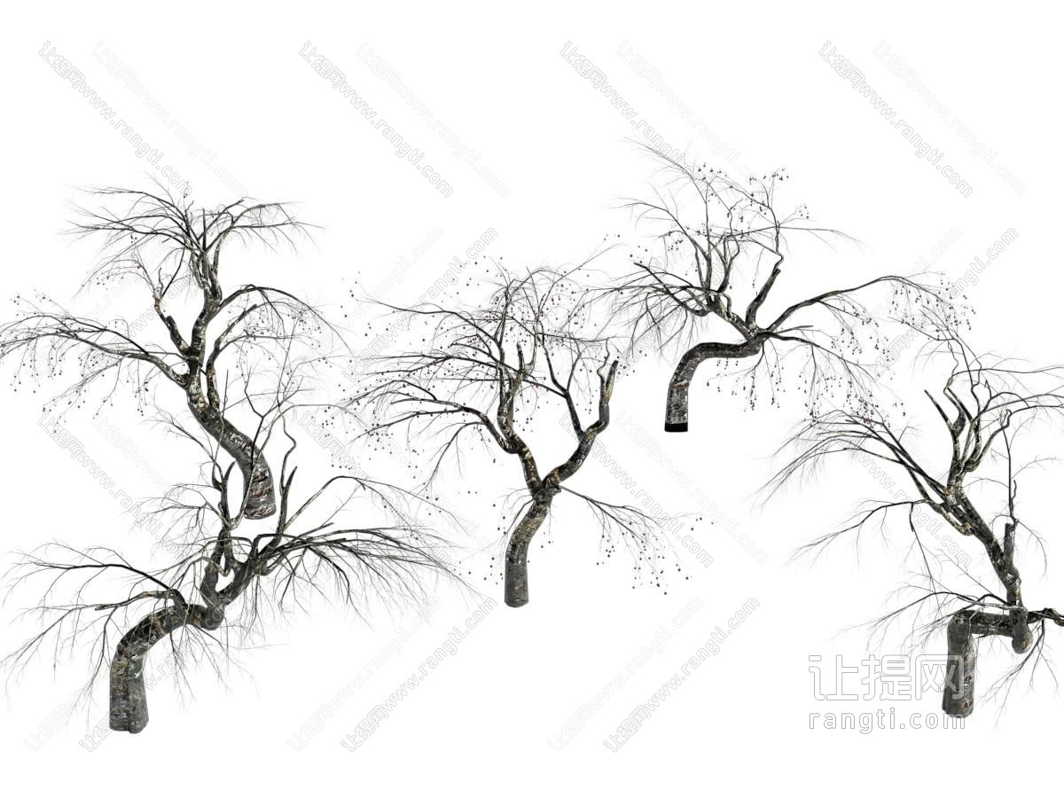 现代枯树