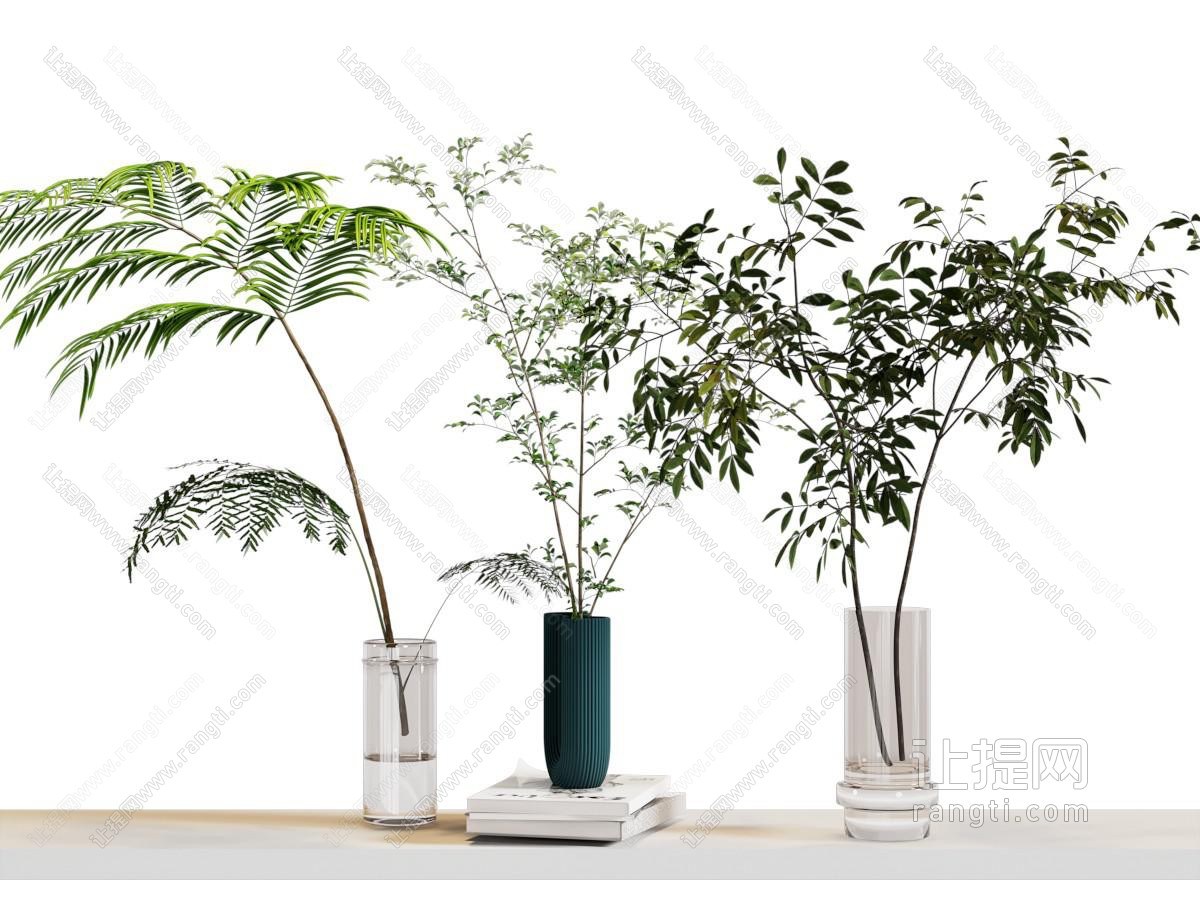 水生植物