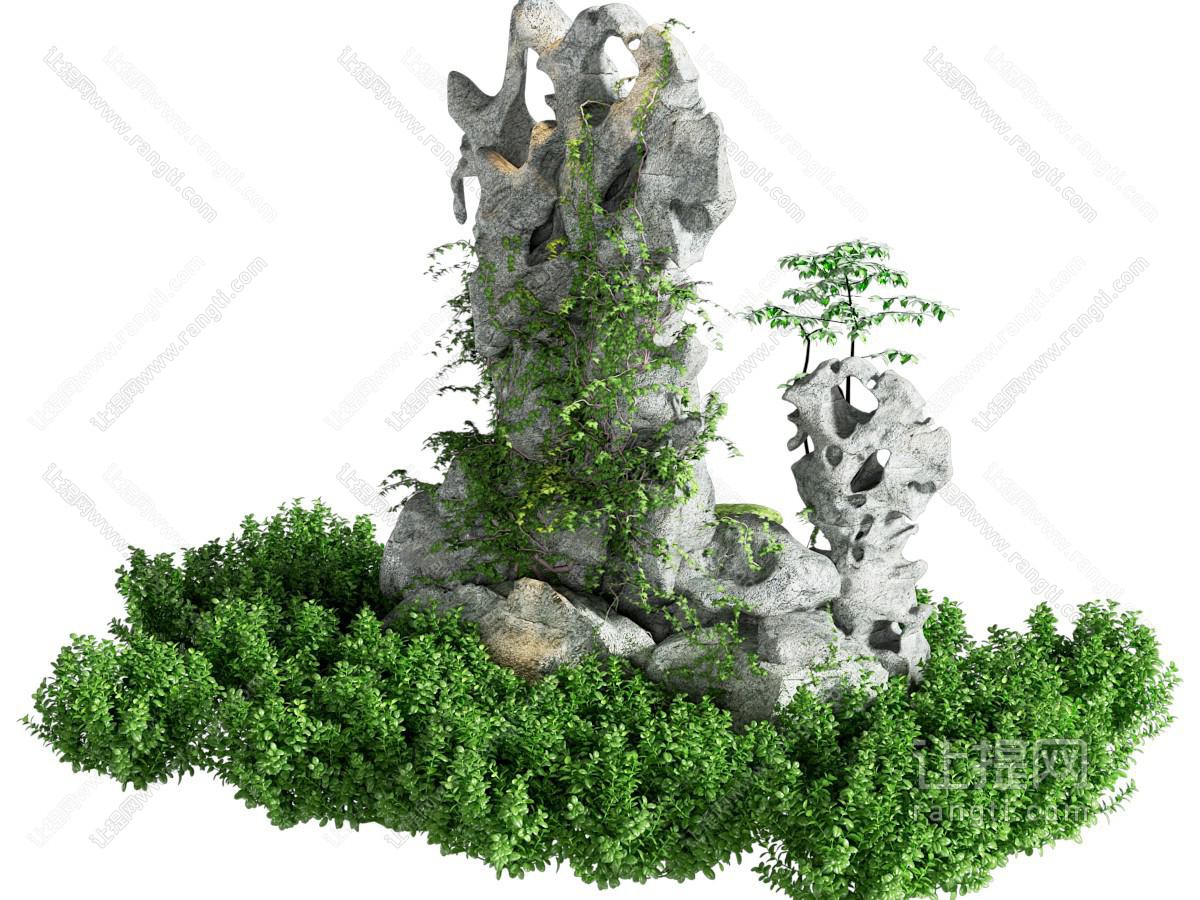 现代假山植物