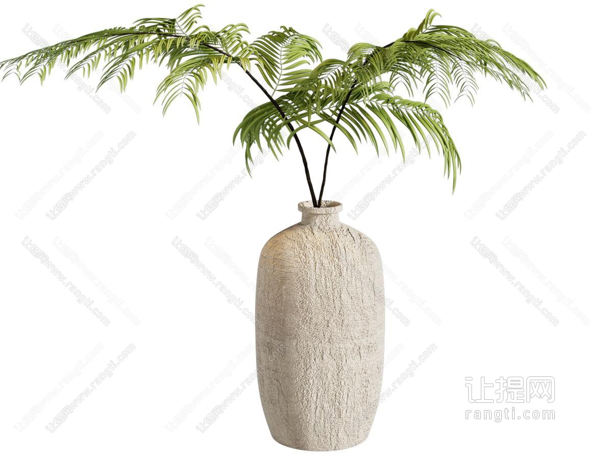 蕨类绿植花瓶 花艺