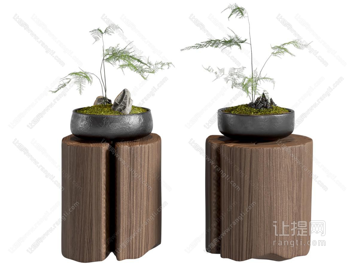 新中式盆栽 文竹盆景 花几